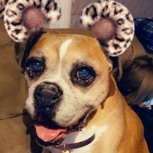 Meet your Posher, Stefanie